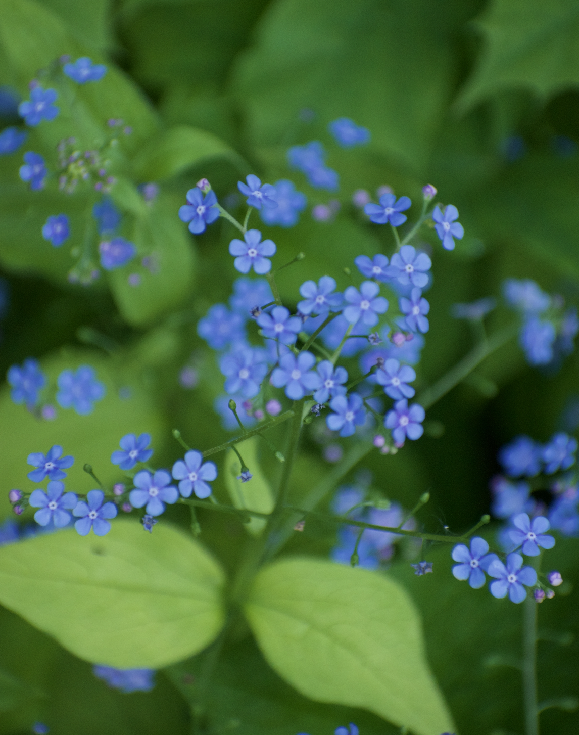 Screenshot 2026-03-22 at 10.23.03 AM.png