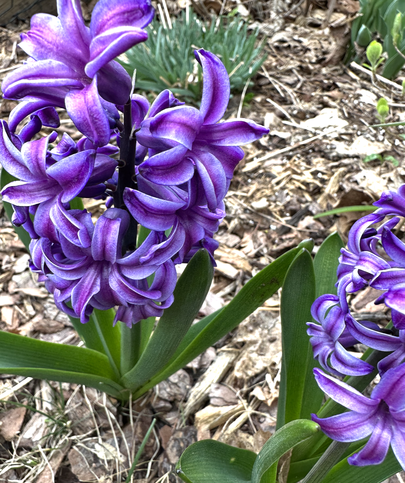 Screenshot 2026-03-22 at 8.44.58 PM.png