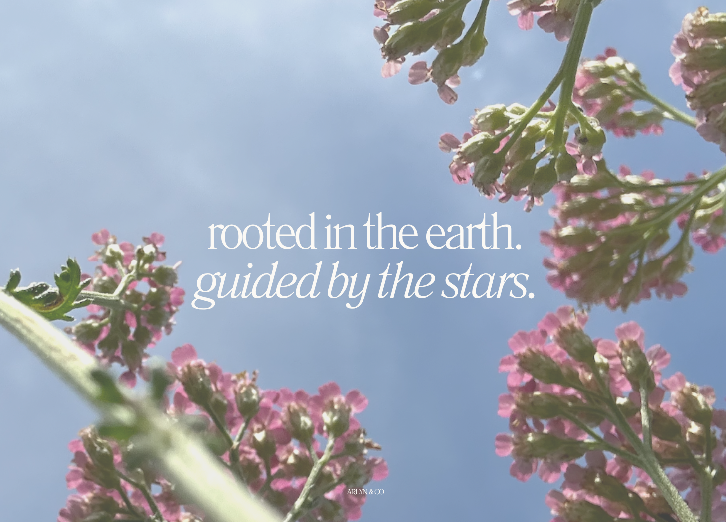 A Flower Farmer Speaking Astrology