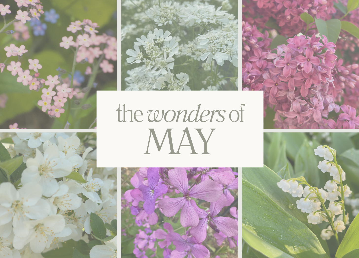 The Wonders of May