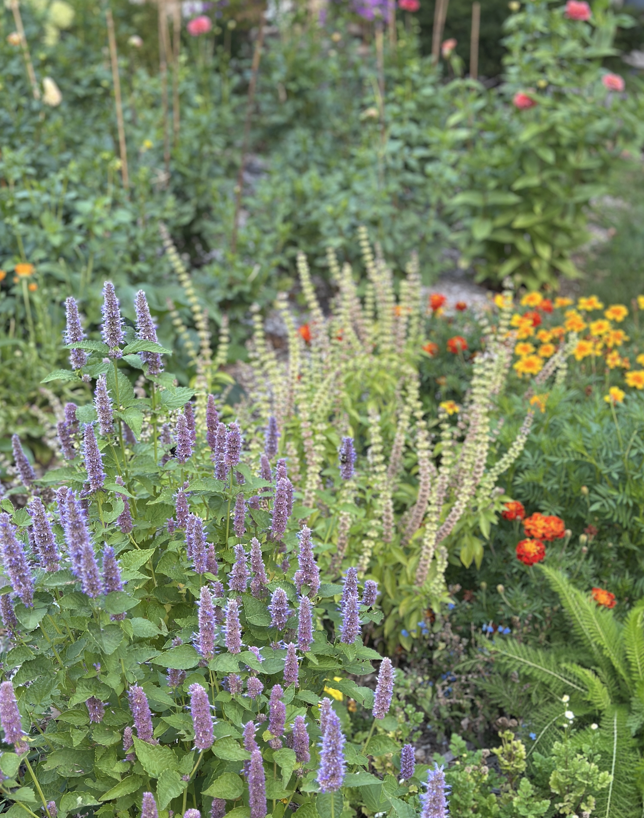Practical Magic in the Garden: Abundance