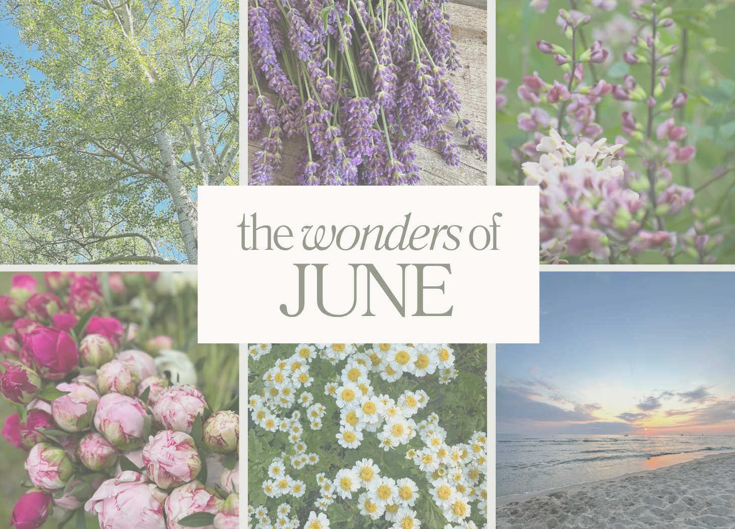The Wonders of June