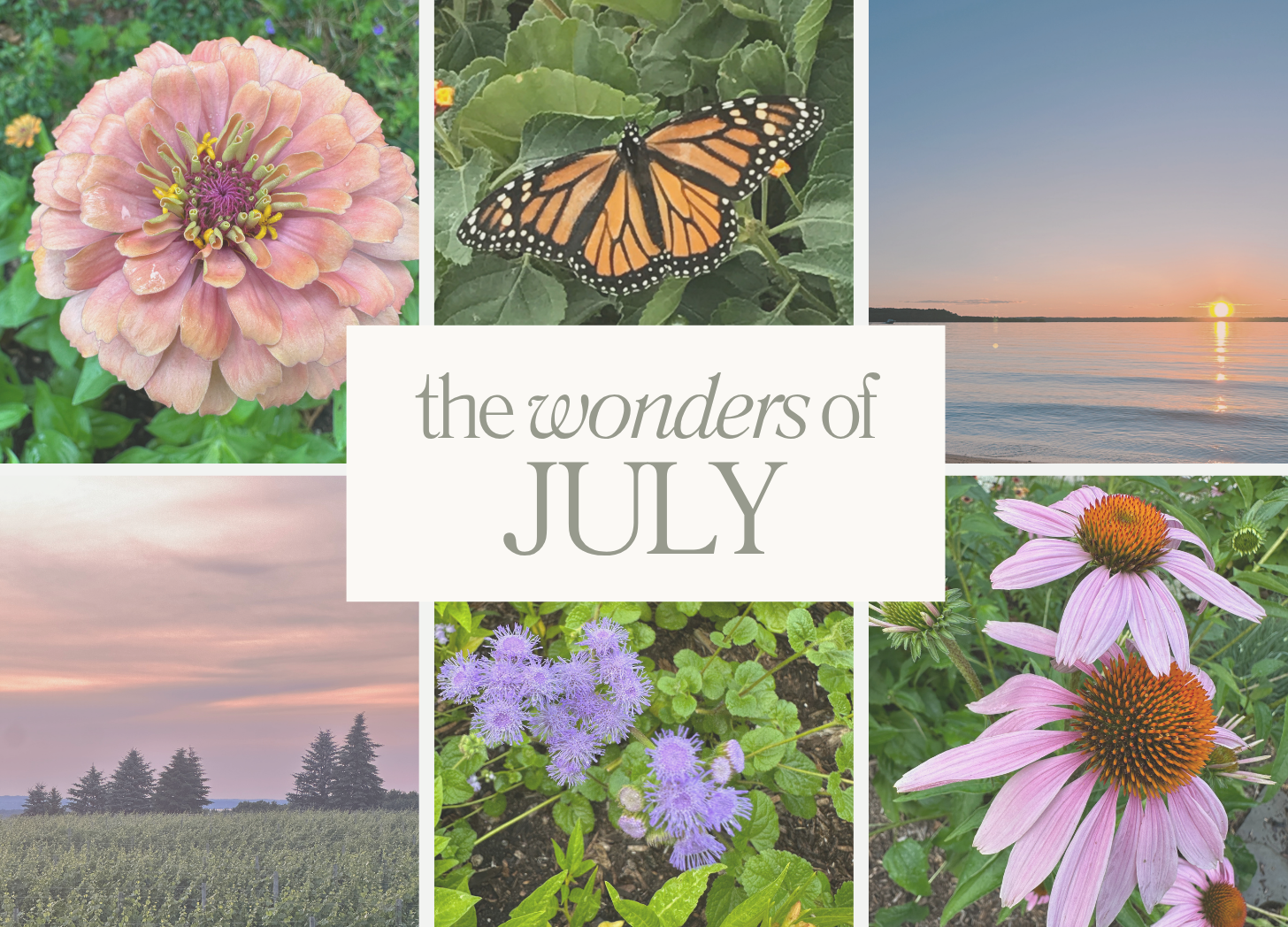 The Wonders of July