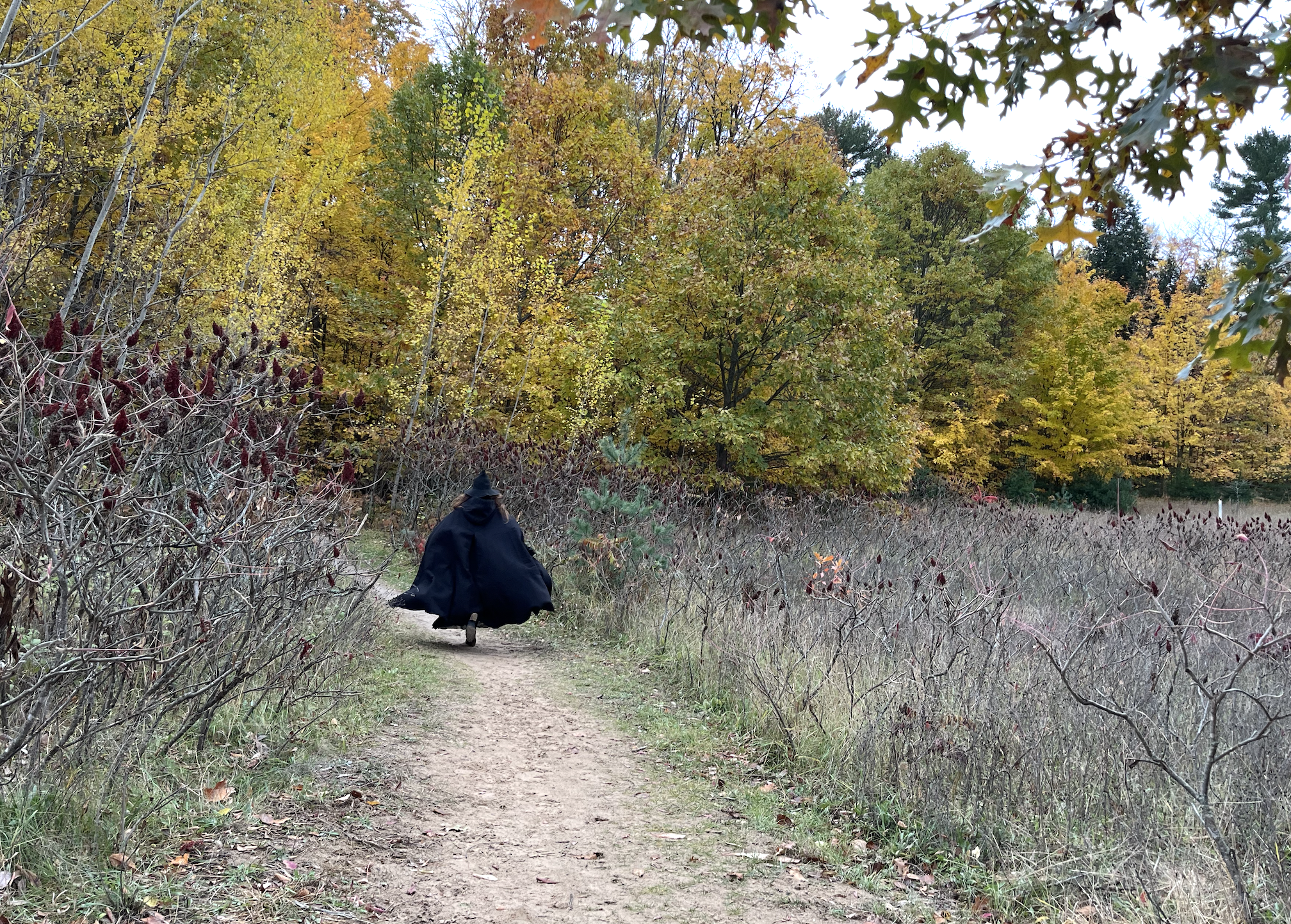 The Witchy Origins of Halloween