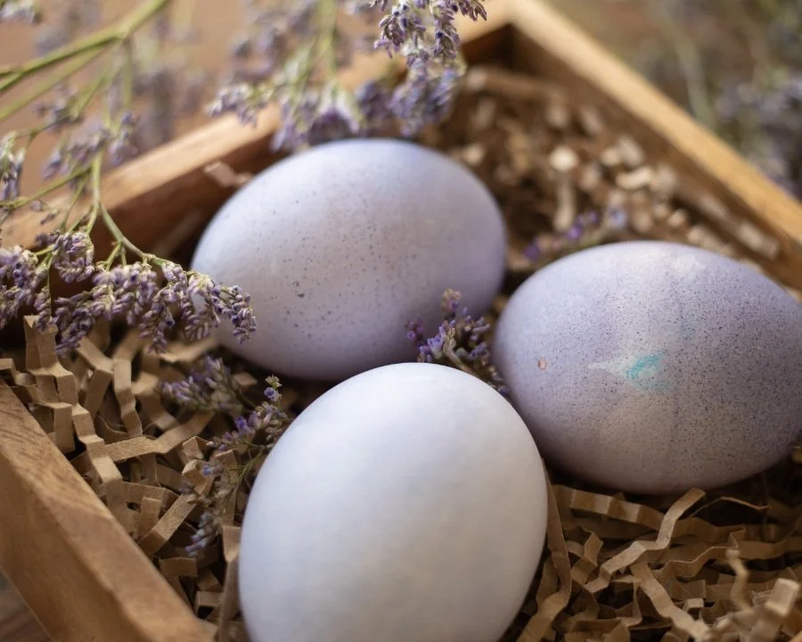 Organically dyed lavendar eggs sit in a wooden box on top of crinkled brown paper, with dried purple statice resting around them.