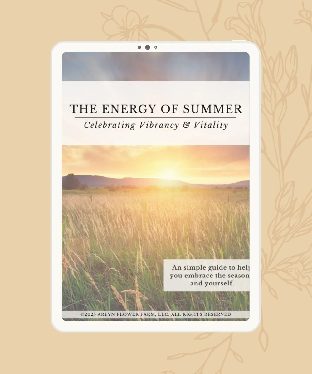 Summer ebook Promo graphics - website - 1000 x 1200 (2).jpg