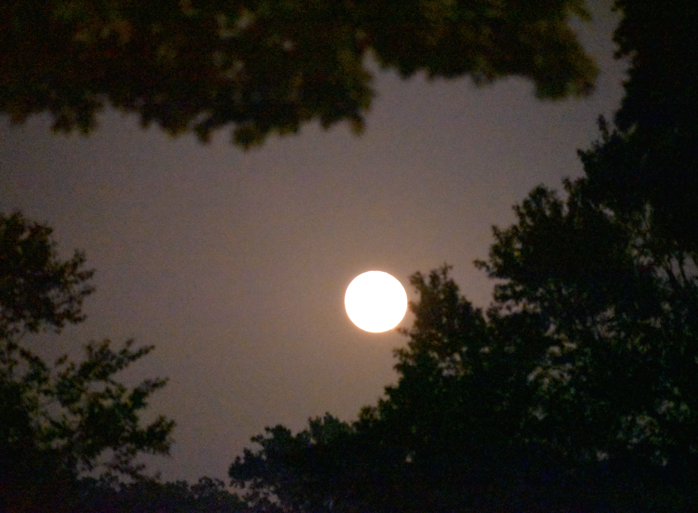 The Moon Phases Explained 