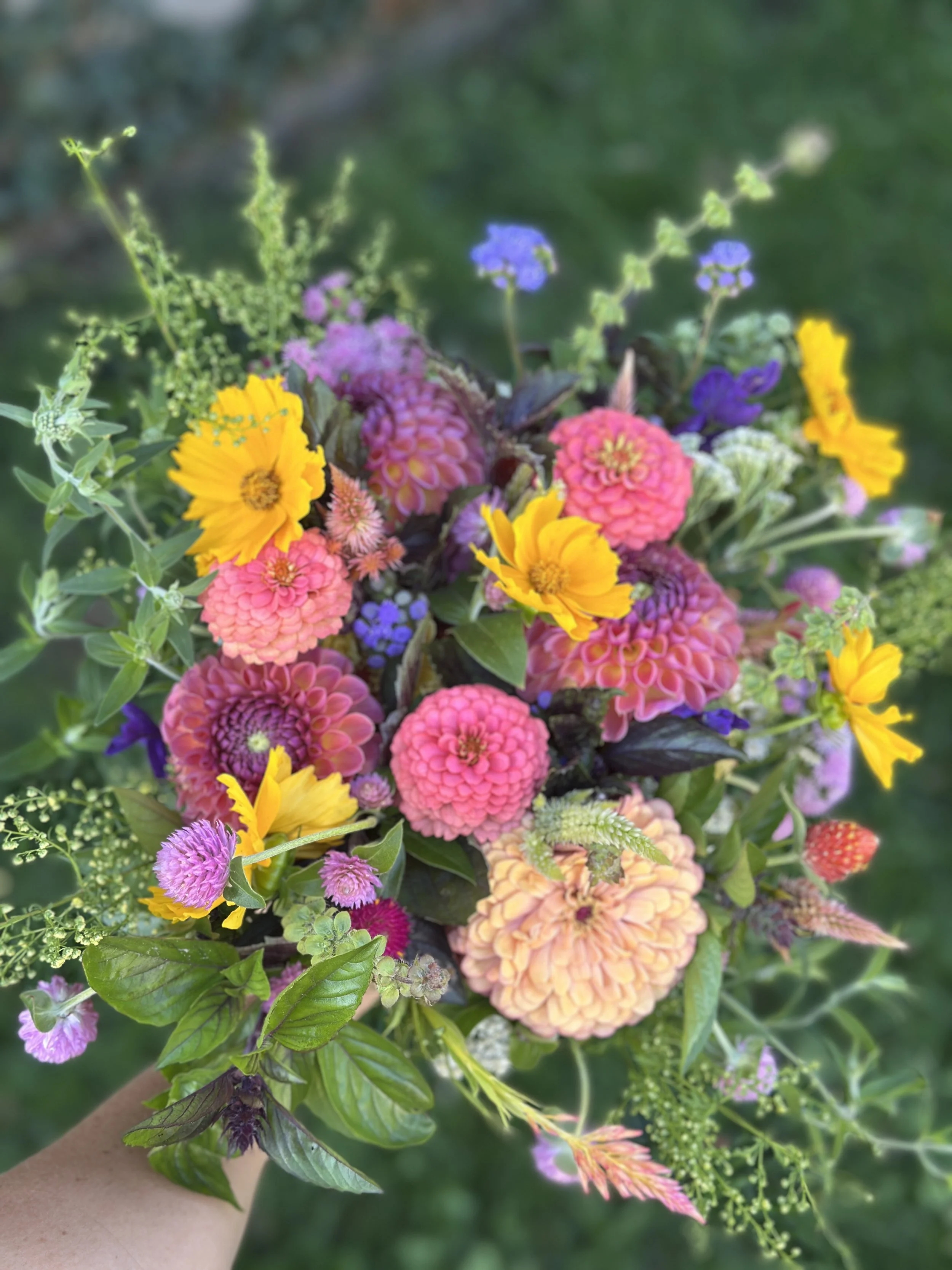 Seasonal Flower Arrangements & Bouquets