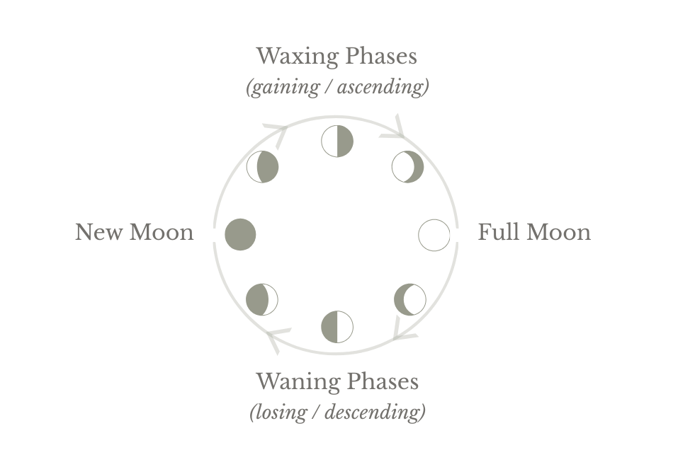 An image showing the phases of the moon.