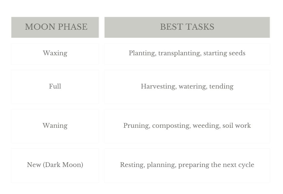 A table chart showing the moon phase and ideal corresponding garden task.