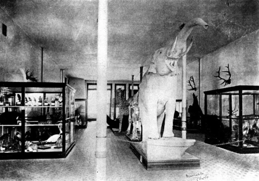 The natural history museum featuring Emperor the Elephant 