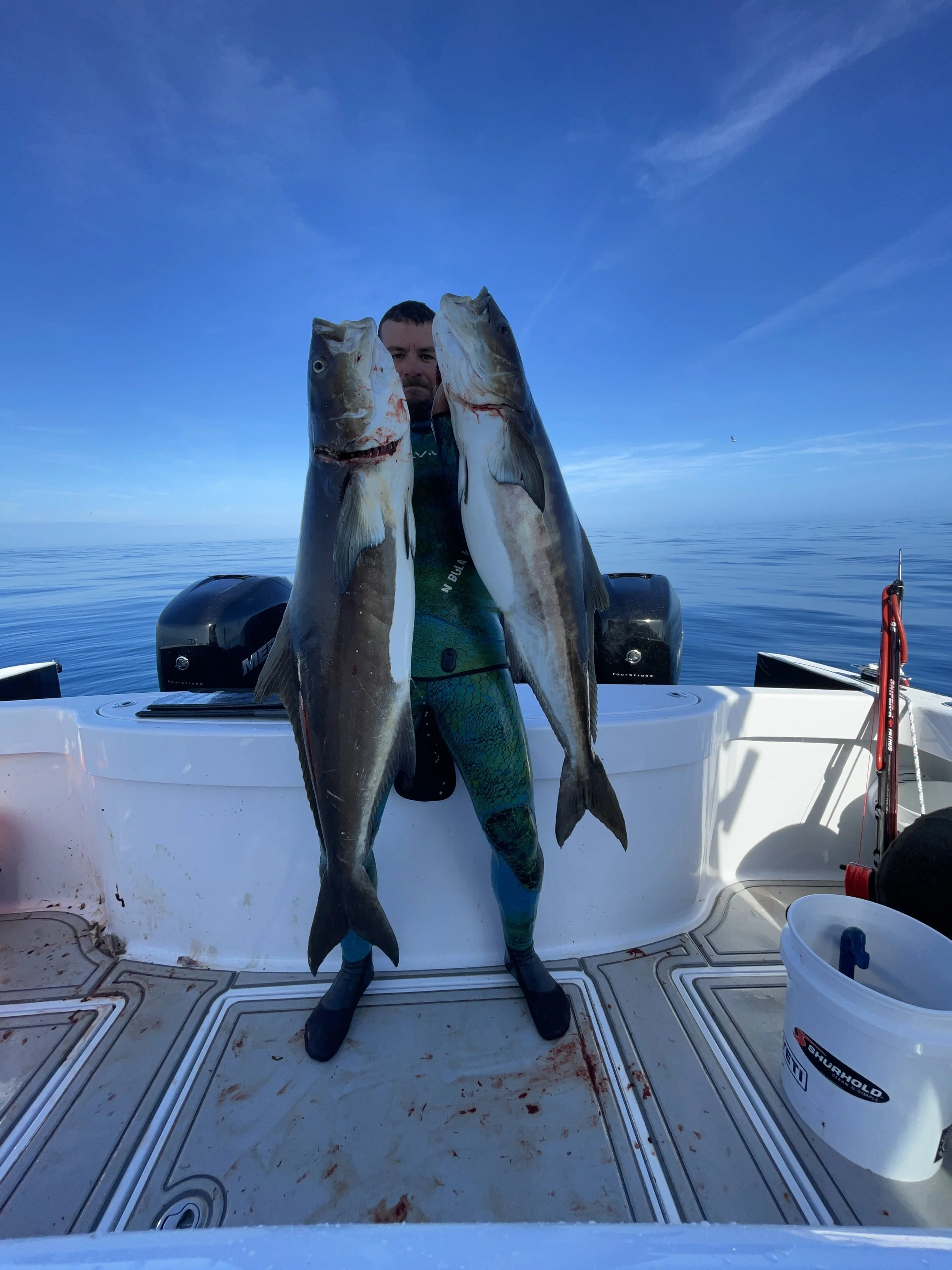A person on a boat holding two large fish, standing on a boat deck with a calm ocean and blue sky in the background.