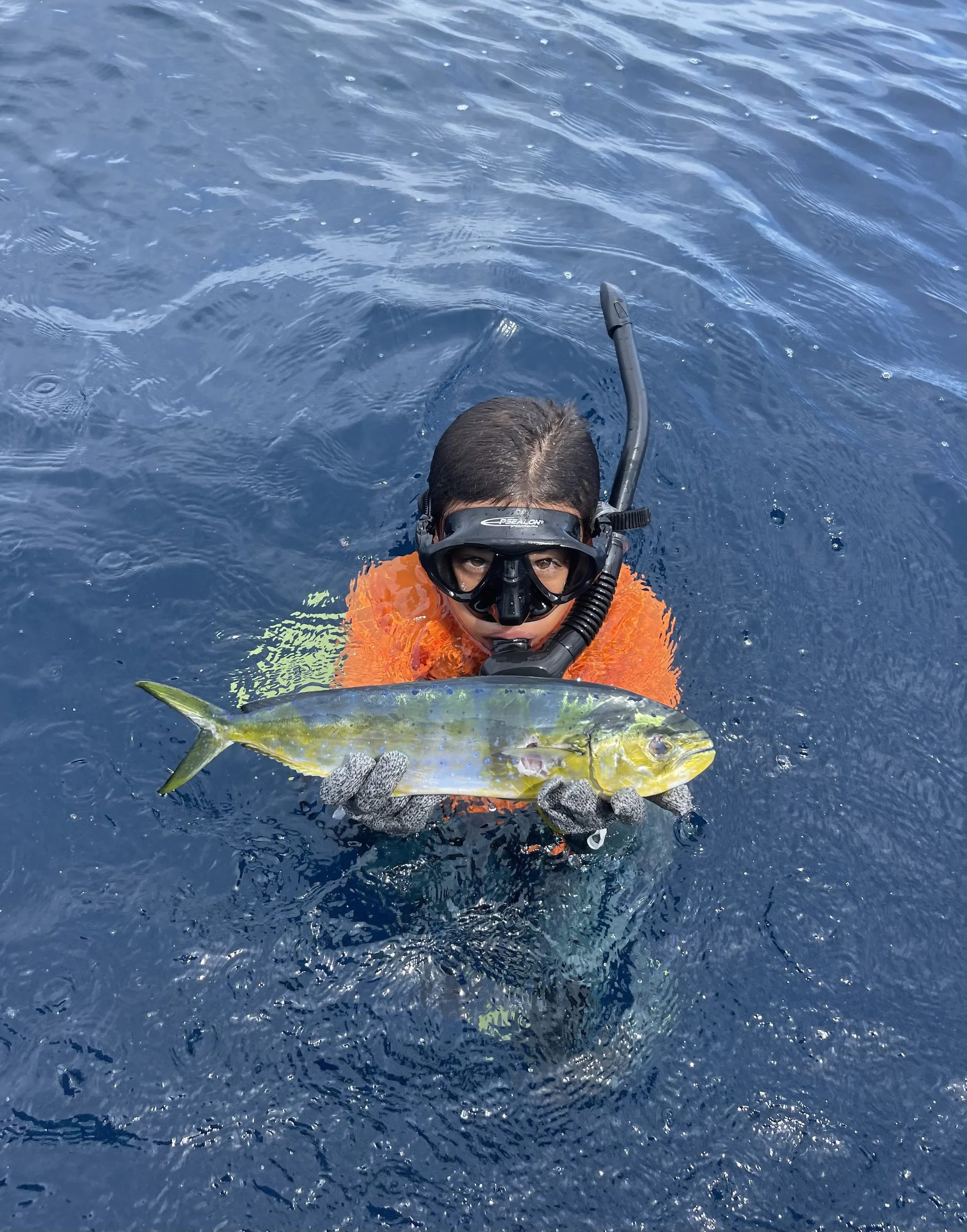 Person in snorkeling gear holding a colorful fish in open water.