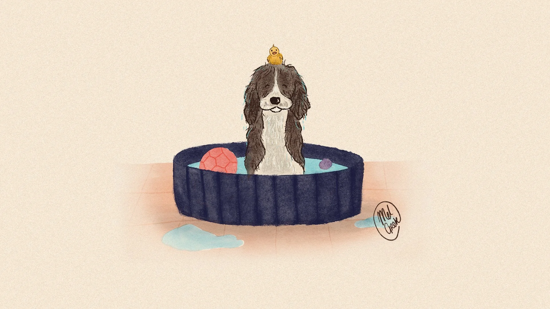 Maggie May, MSPCA, SPCA, Malta, animal sanctuary, adoption story, activity book, illustration for children, children, nature, dog, animals, rehome, illustrator, malta, graphic designer, booklet, print design, branding, graphic design