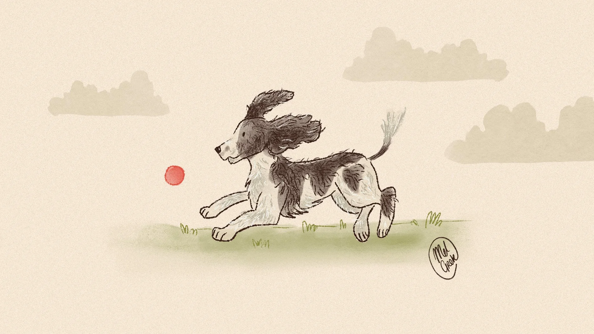 Maggie May, MSPCA, SPCA, Malta, animal sanctuary, adoption story, activity book, illustration for children, children, nature, dog, animals, rehome, illustrator, malta, graphic designer, booklet, print design, branding, graphic design
