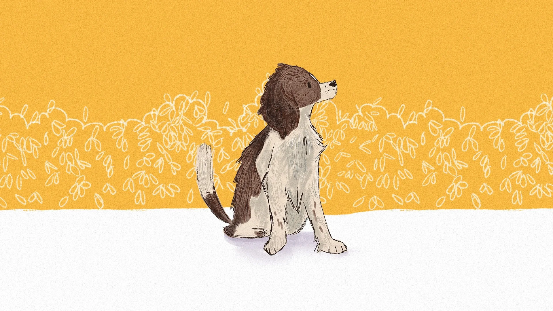 Maggie May, MSPCA, SPCA, Malta, animal sanctuary, adoption story, activity book, illustration for children, children, nature, dog, animals, rehome, illustrator, malta, graphic designer, booklet, print design, branding, graphic design