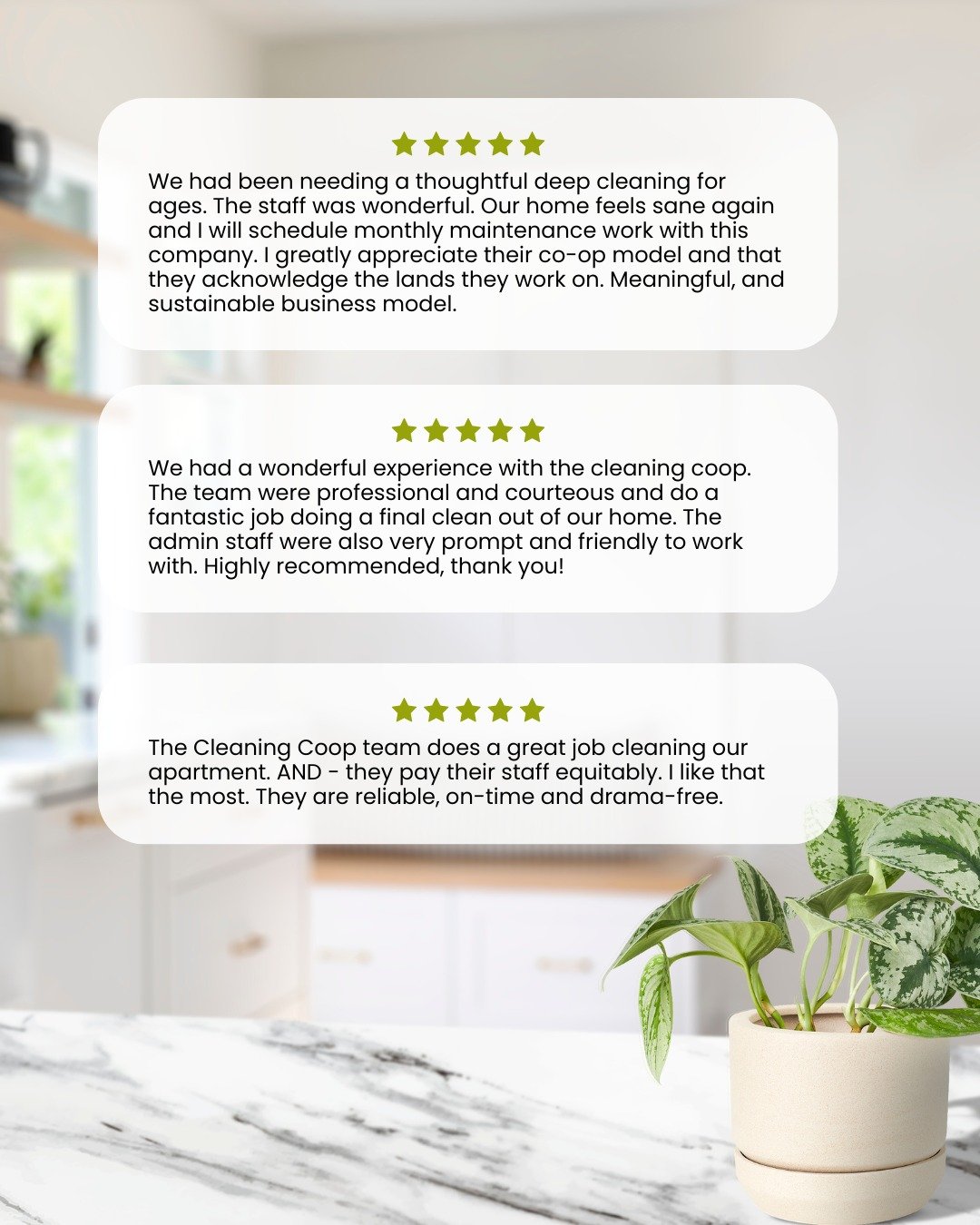 We could tell you how amazing our team are, but we think out clients say it best:

"We had been needing a thoughtful deep cleaning for ages. The staff was wonderful. Our home feels sane again and I will schedule monthly maintenance work with thi