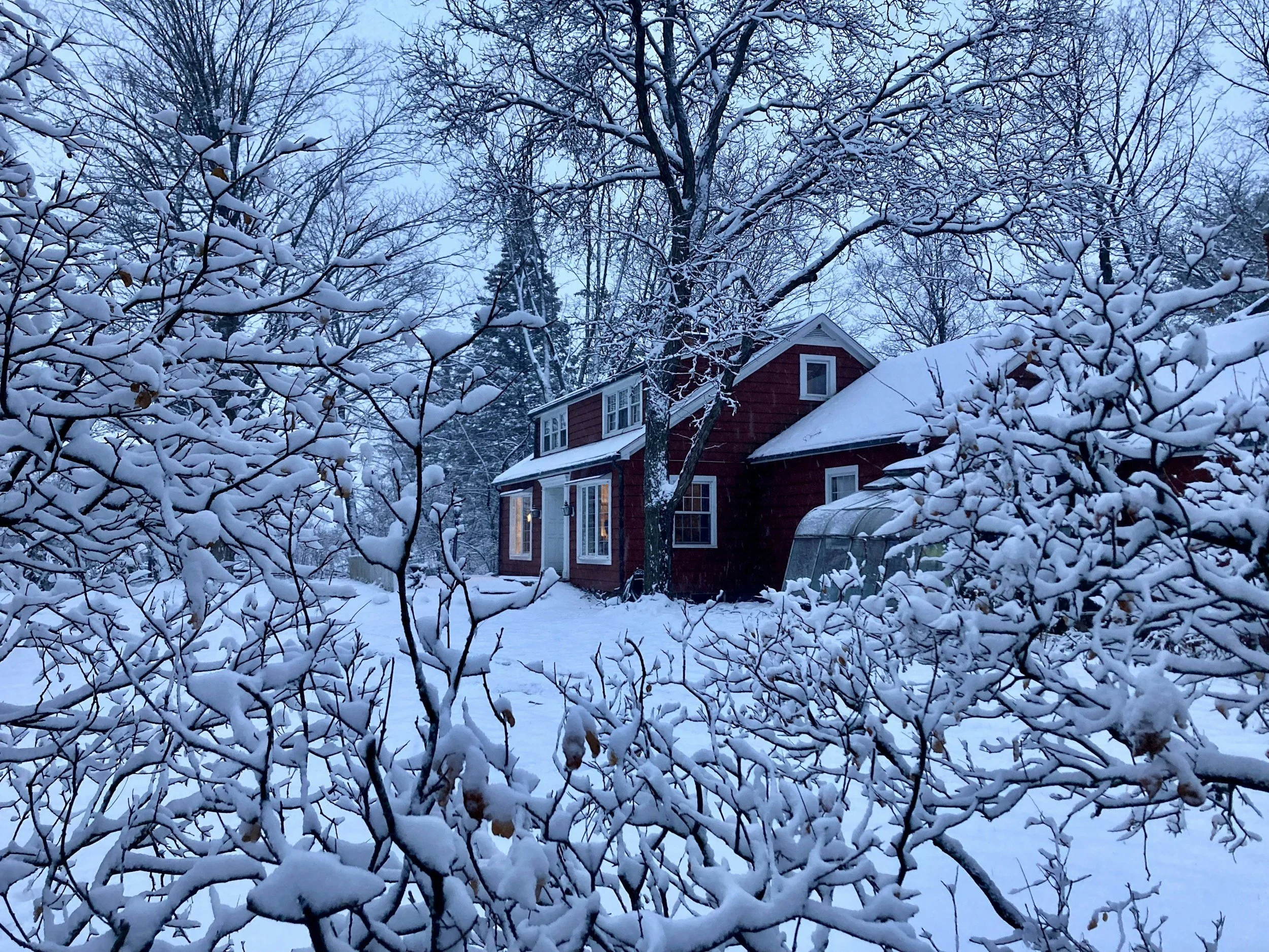 February in New England: What Your Winter Landscape Is Preparing For