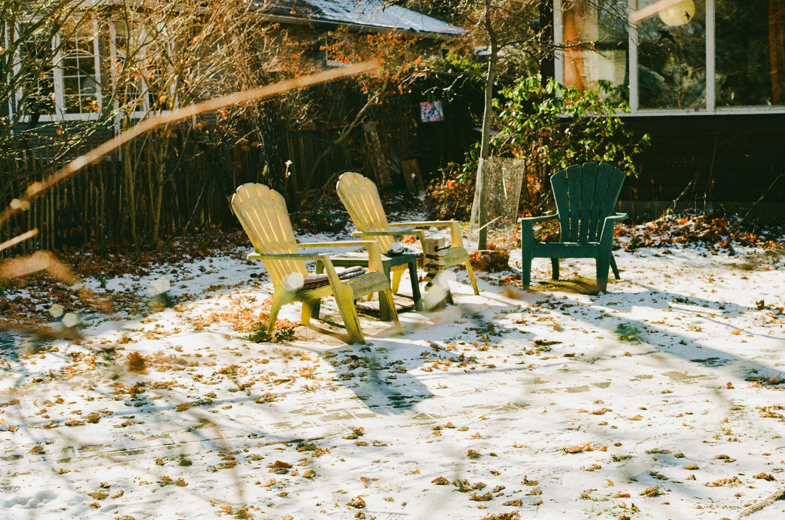 Bringing Your Yard Back to Life After a Harsh Winter