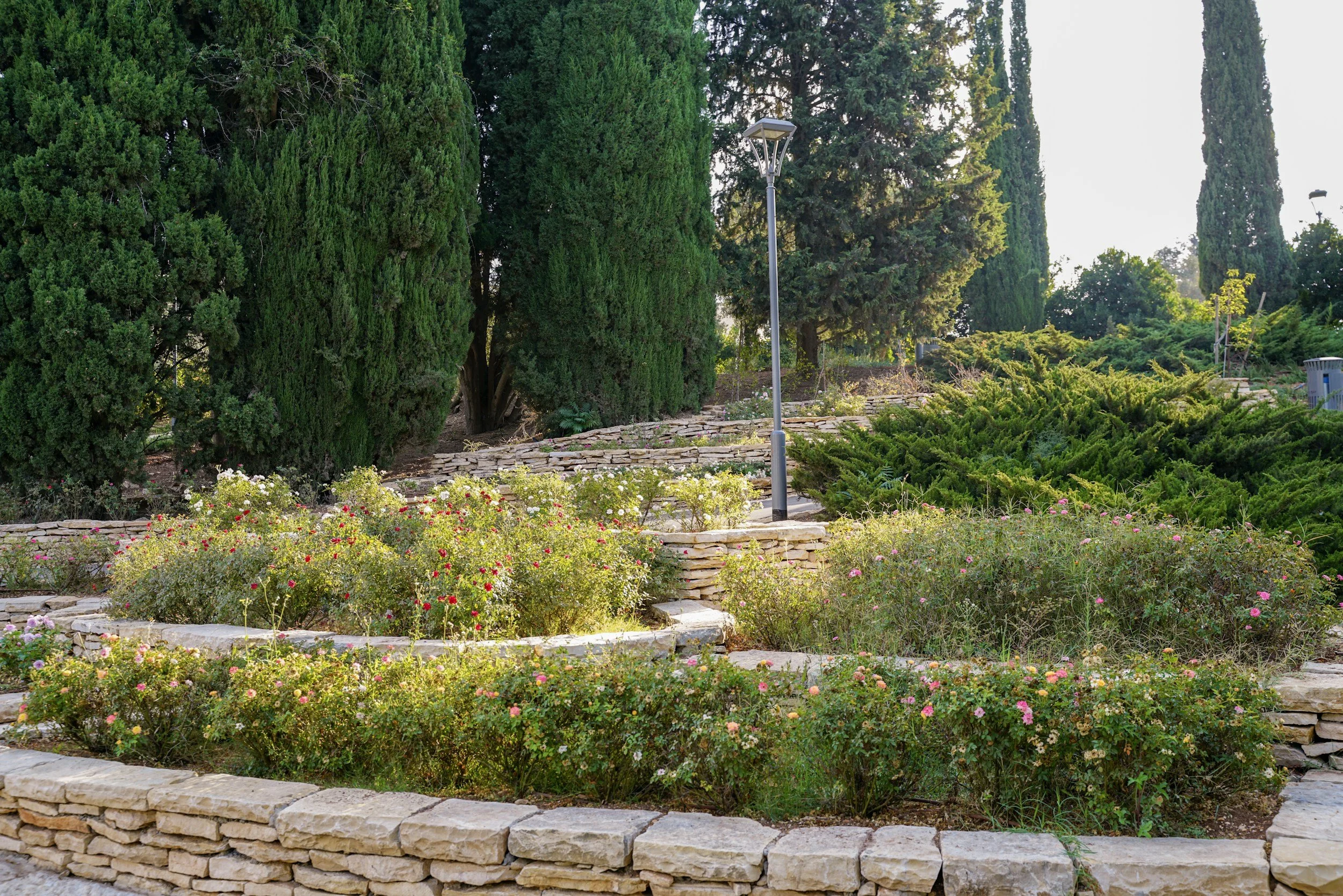 June Landscaping &amp; Lawn Care Tips for New England Homeowners
