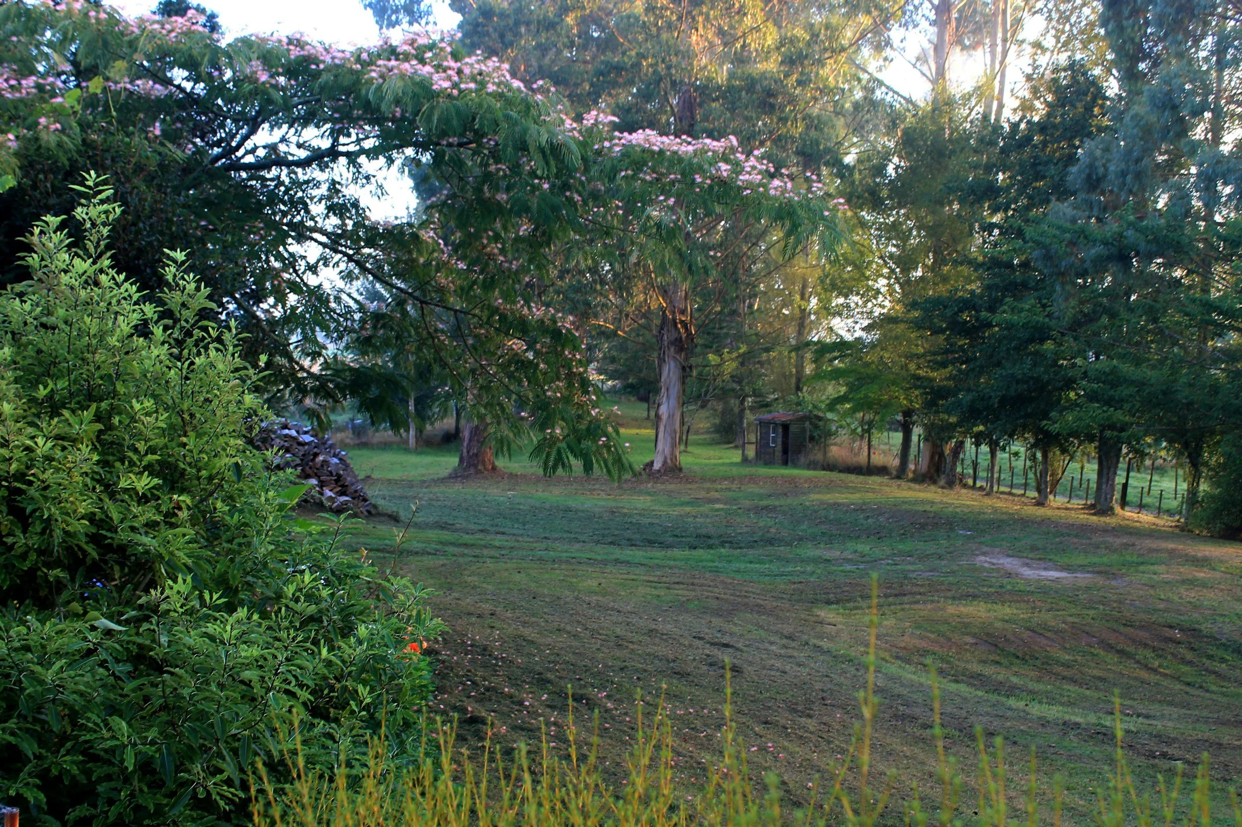 Mid-Summer Lawn Care Tips for New England Homeowners: What to Do in July