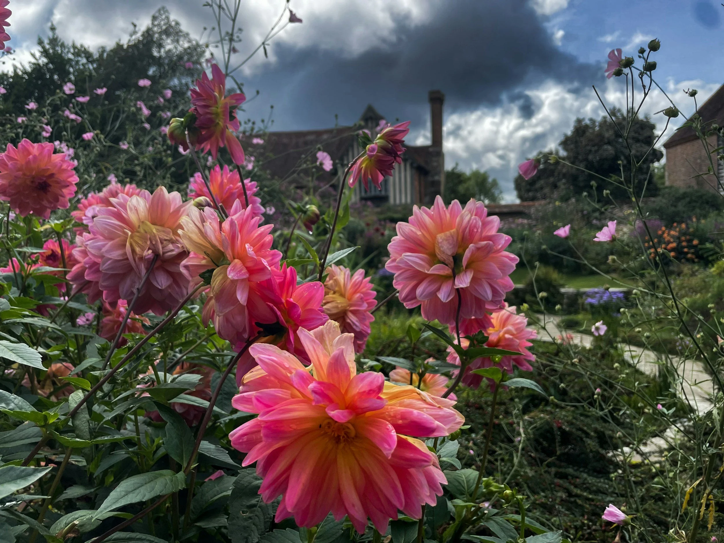 September Garden &amp; Lawn Care on the North Shore: Getting Ready for What's Coming