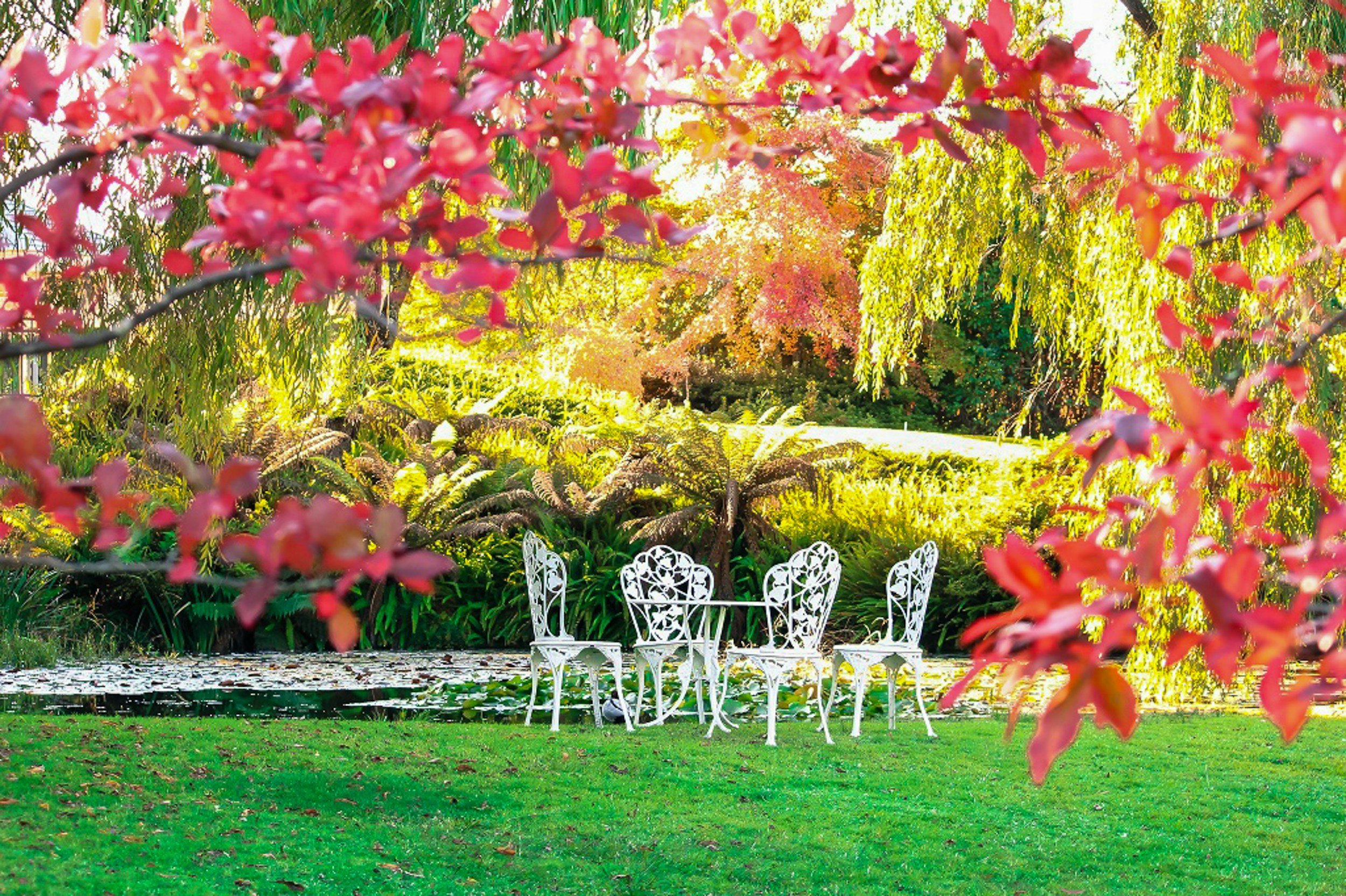 October Garden &amp; Lawn Care on the North Shore: Closing Strong Before Winter