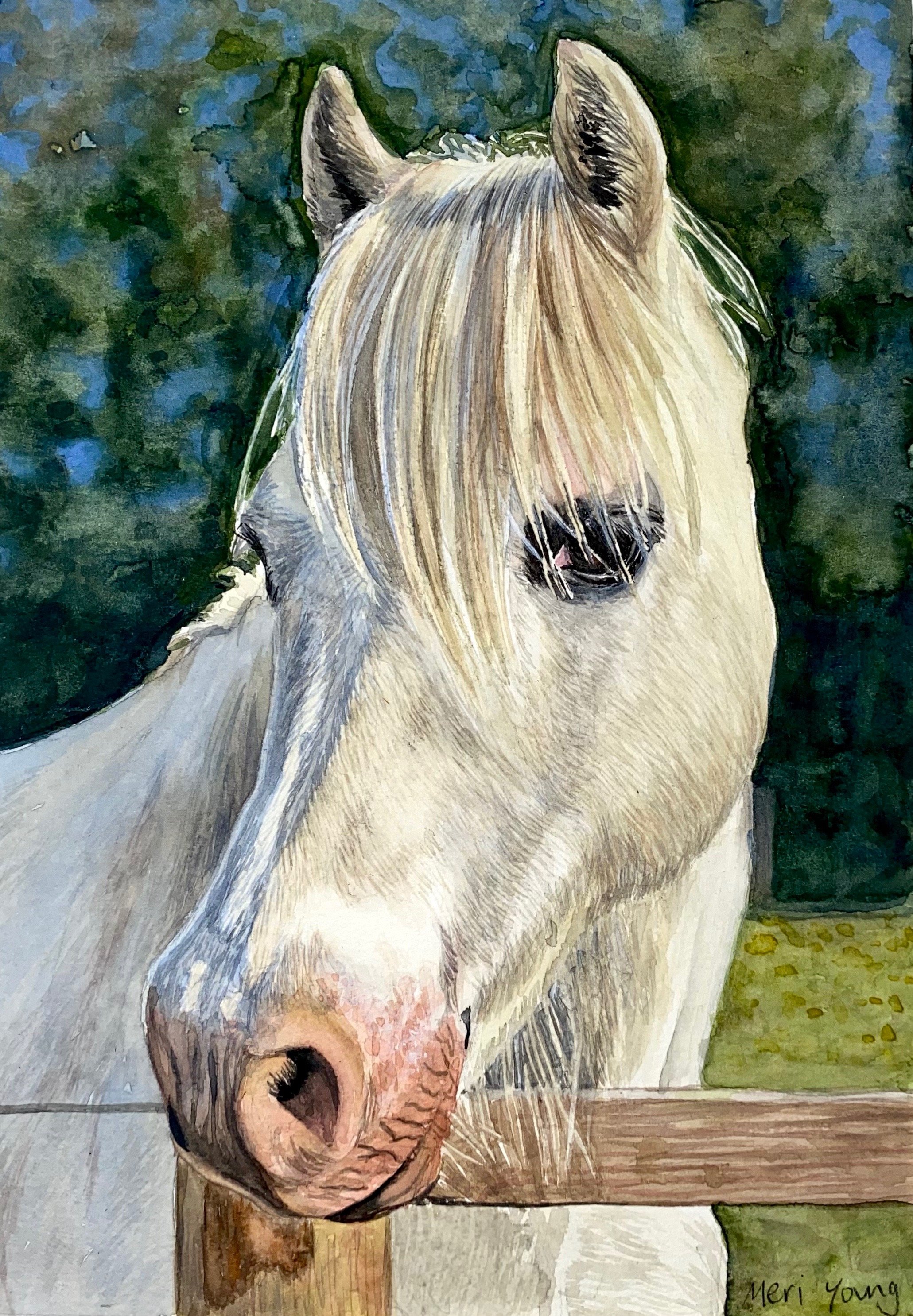 A watercolor painting of a white horse with a blonde mane, standing behind a wooden fence against a dark green background.