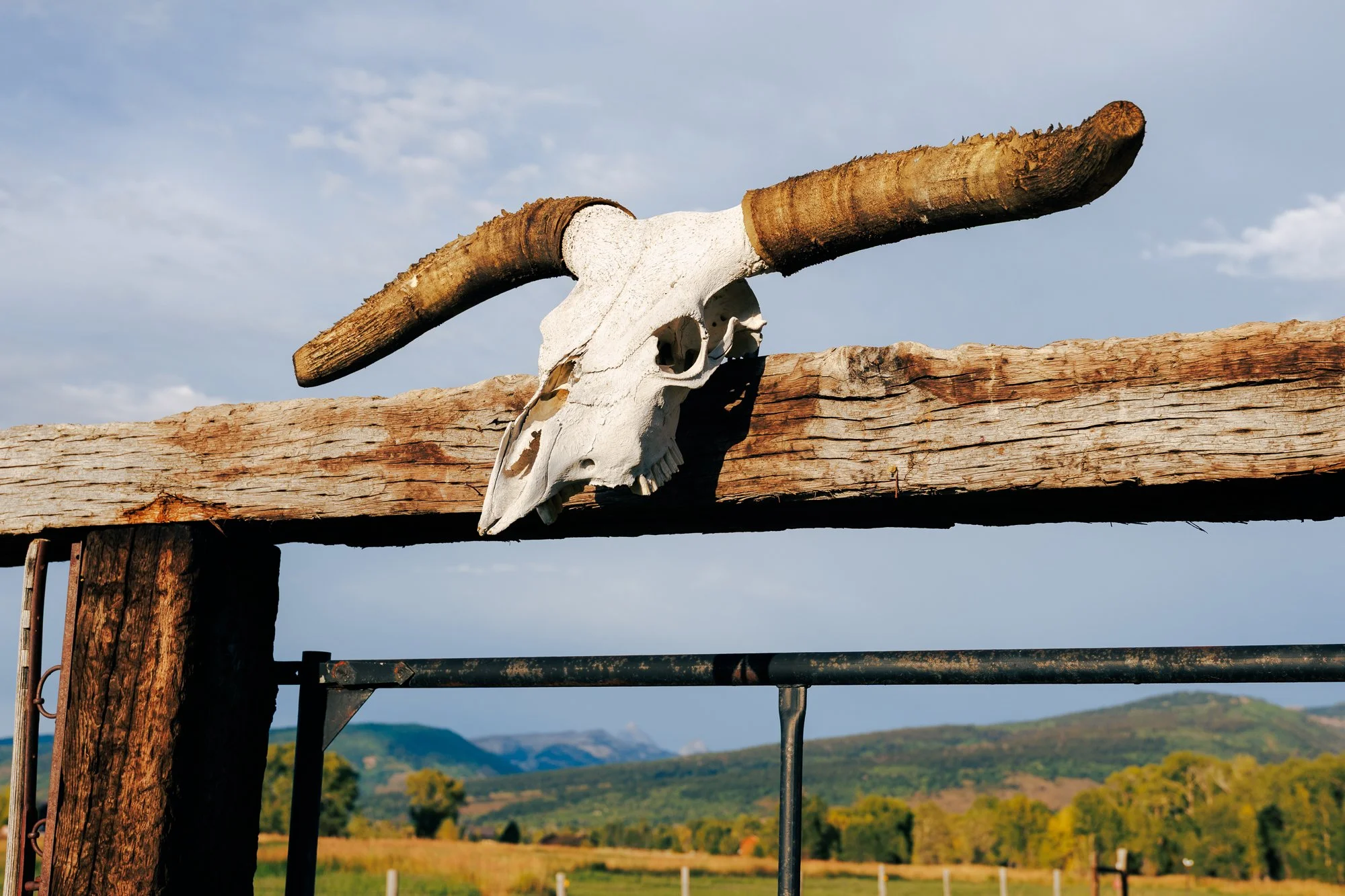 Teton Summer 2 - Web-2.jpg