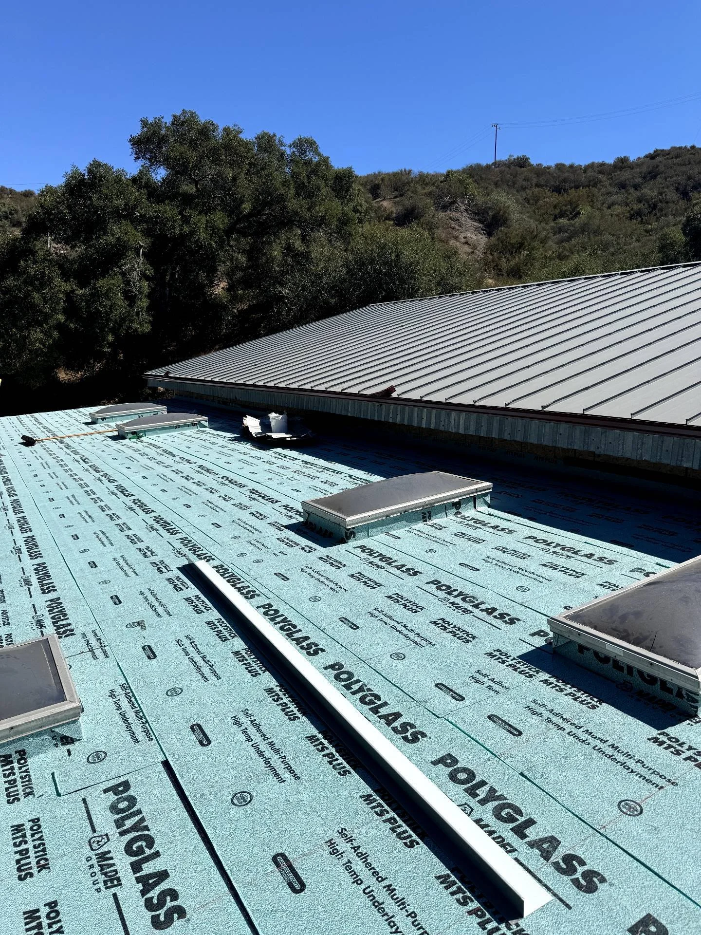 9_8_25, 10_51_06 AM.jpeg