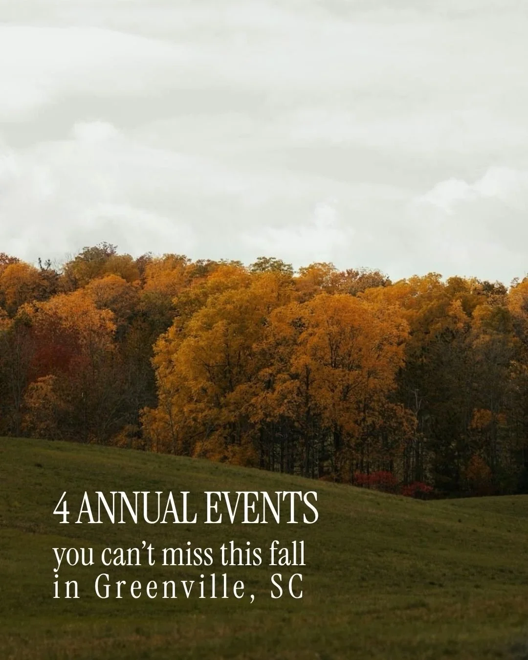 Fall in Greenville is here, and it might be my favorite season to call this place home. 🍂

From four days of incredible food and wine to porches full of live music, there is no shortage of reasons to fall in love with the Upstate this time of year.

