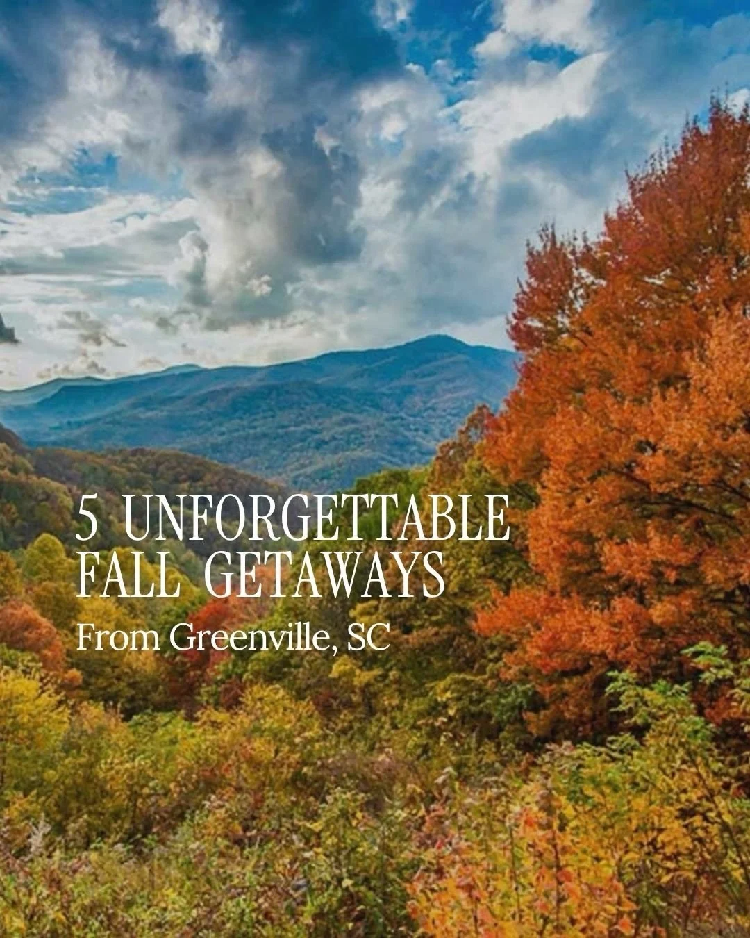 A curated list of fall getaways from Greenville, SC ✨

Comment FALL and I&rsquo;ll send you my Fall Guide to Greenville 🍂

📷 @solitarytravelerphoto, @biltmoreestate, @highlandermountainhouse, @skytoporchard 

-Jessica Kilcoyne, Your Greenville luxu