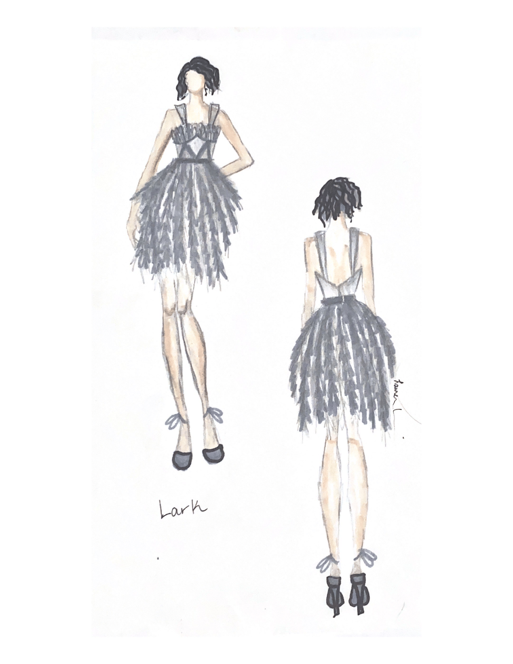 Blackbird-8.png