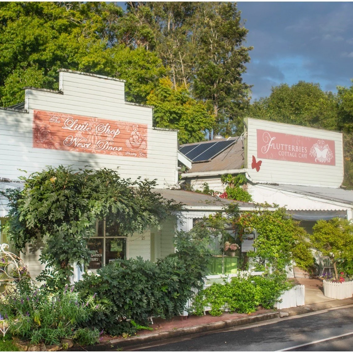 Flutterbies website partners page.jpeg