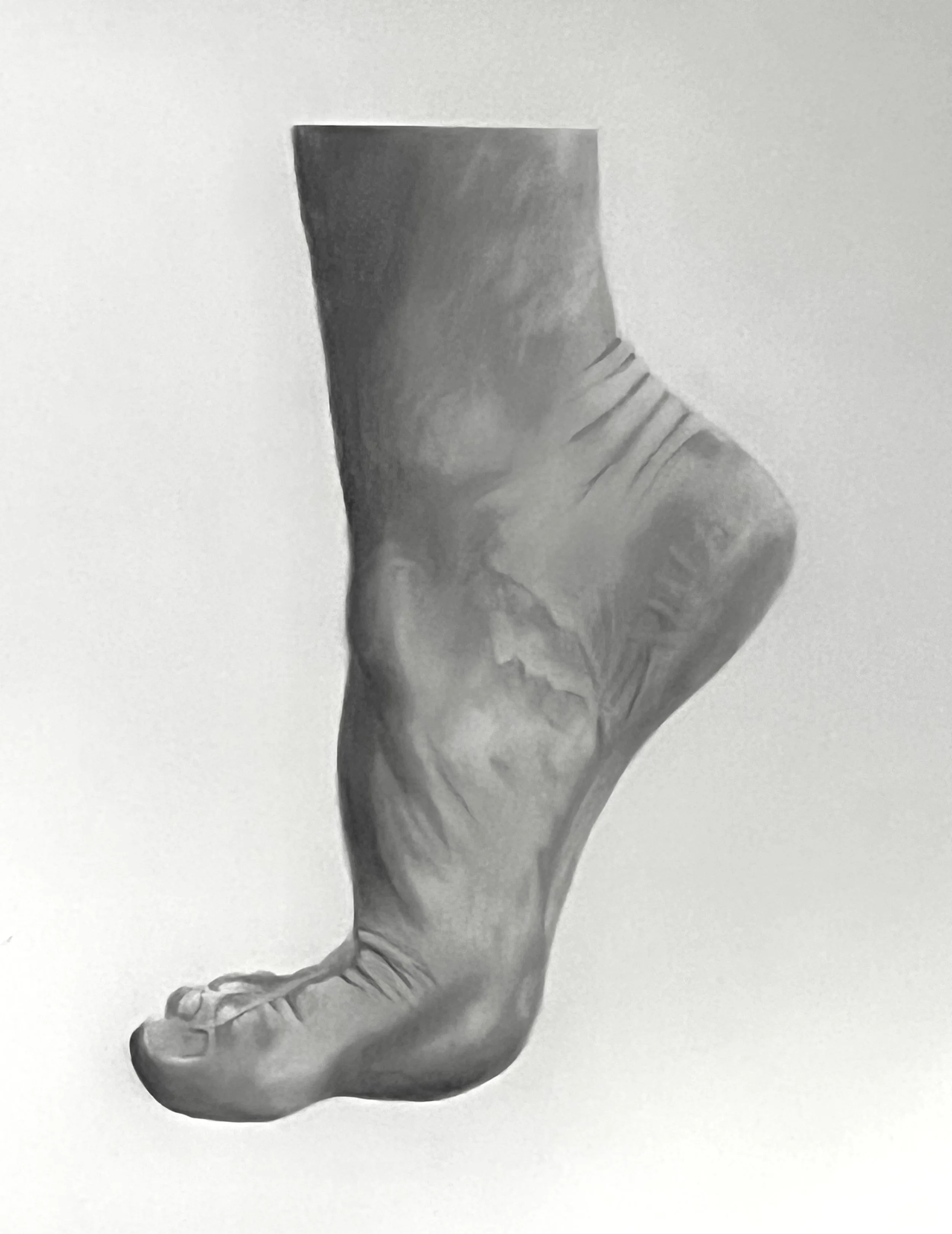 Foot
Graphite on paper
2023