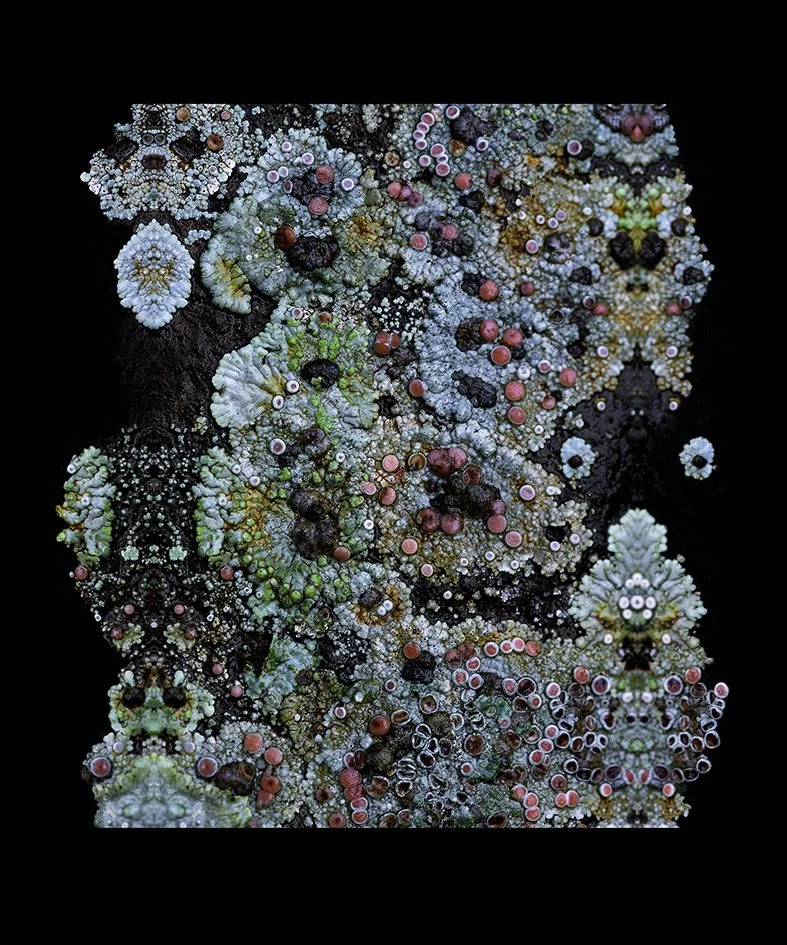 "symbiont"