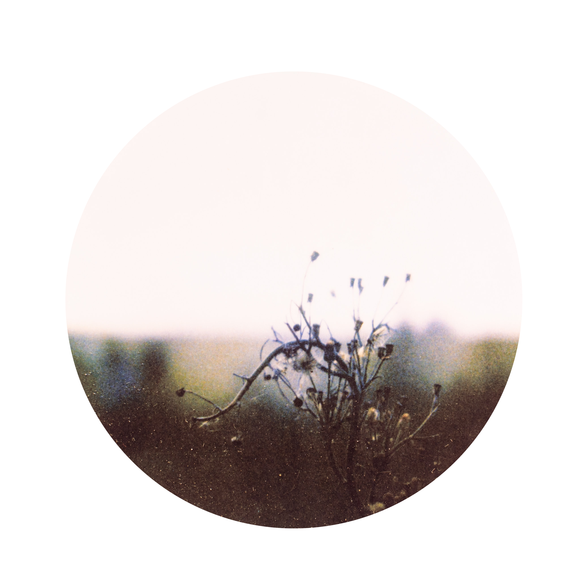 DSC_6370_SM_web transparent.png