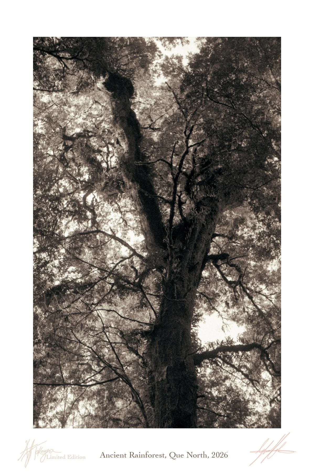 5. "extinctionem" series of Limited Edition 35 mm film prints