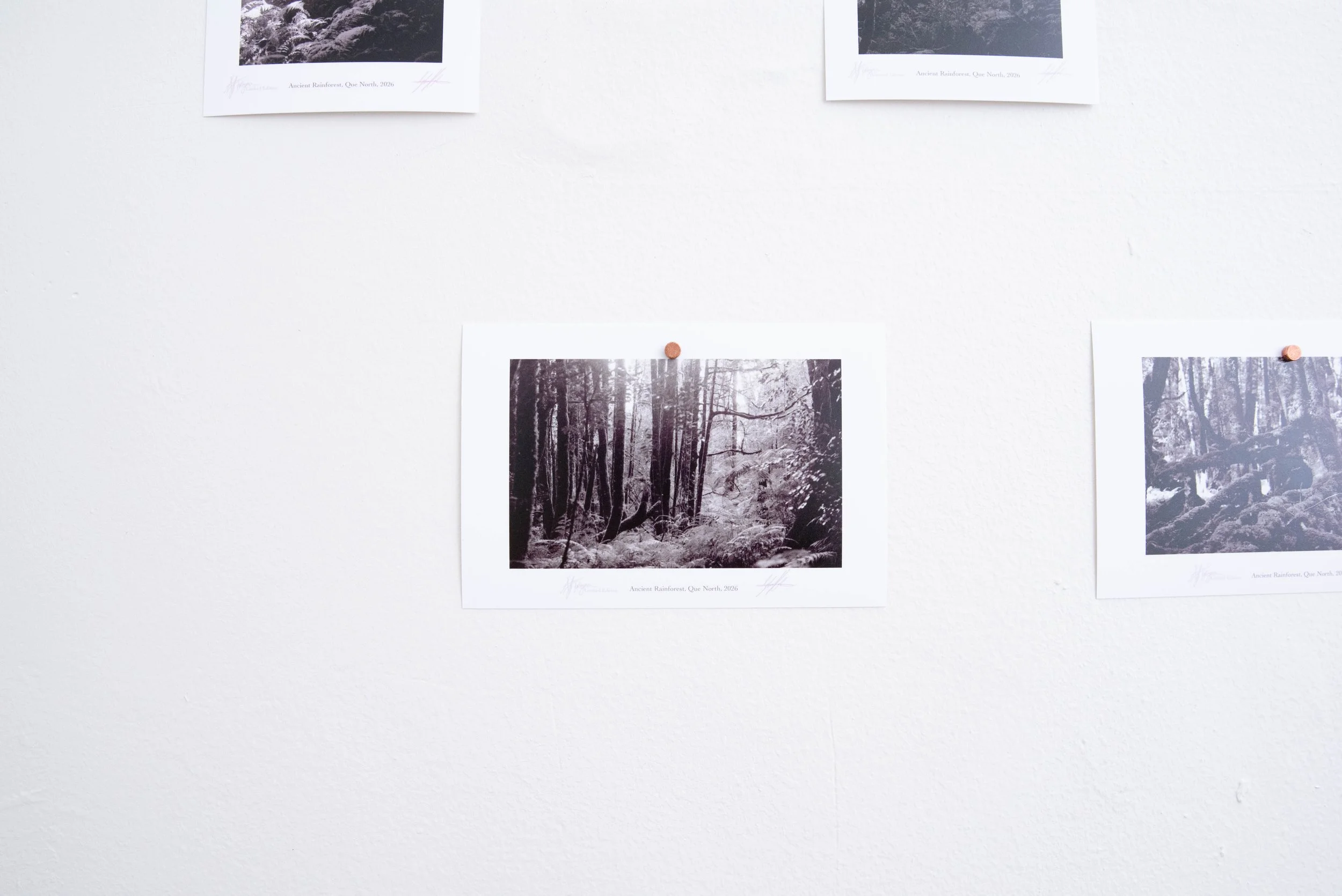 DSC_5682_SM_web.jpg
