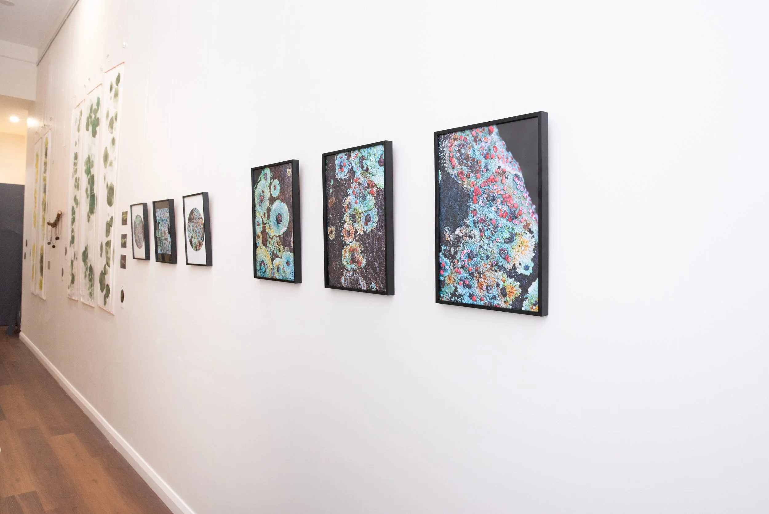 DSC_5698-Edit_WEB.jpg