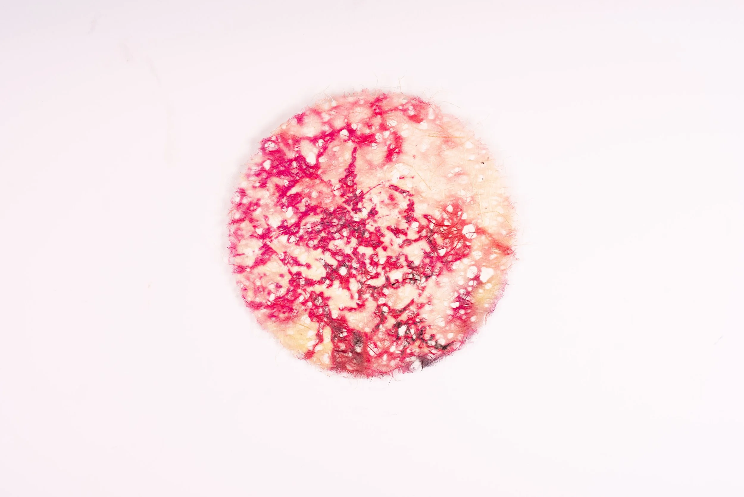 "alius (other)"