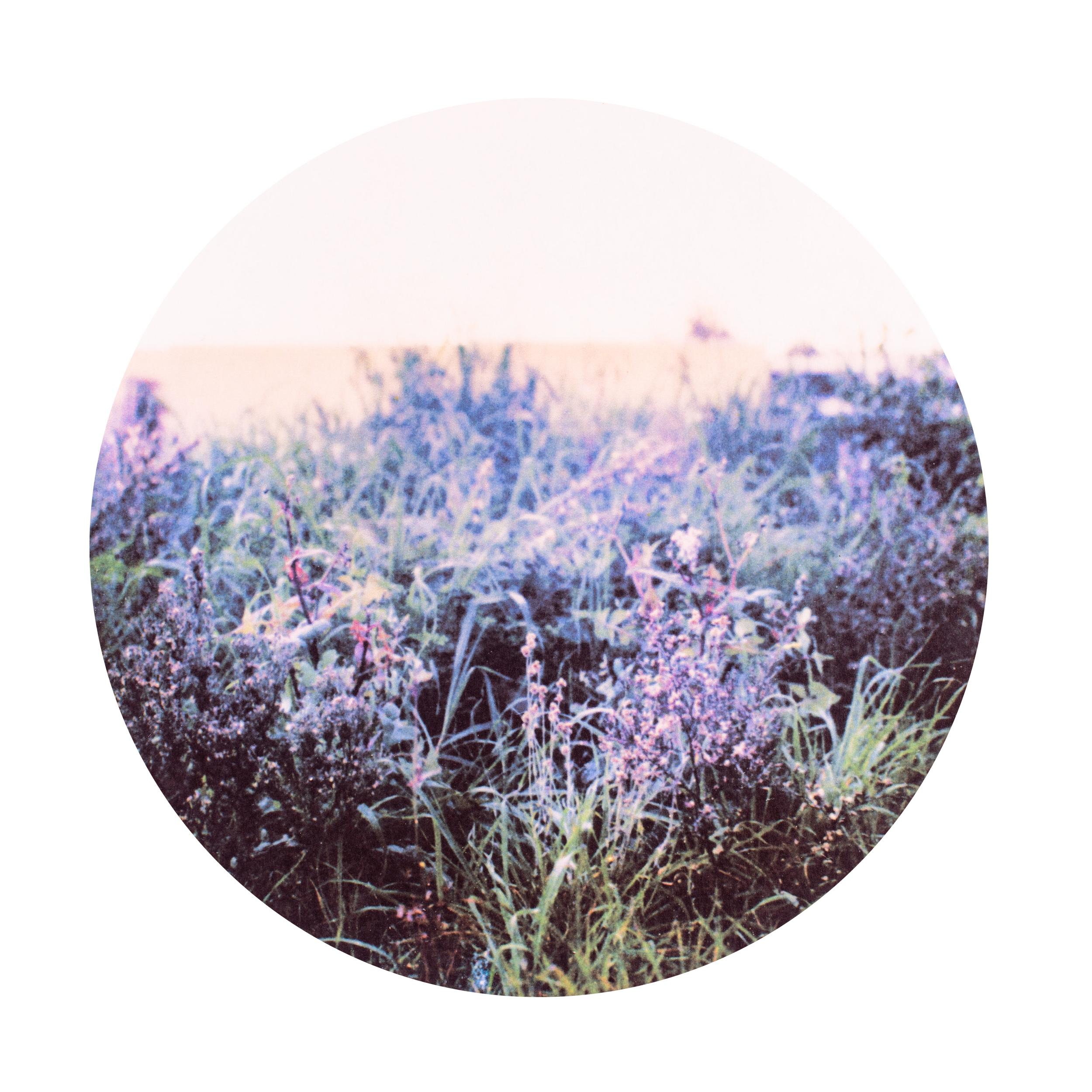 "growan (Old English - flourish)"
