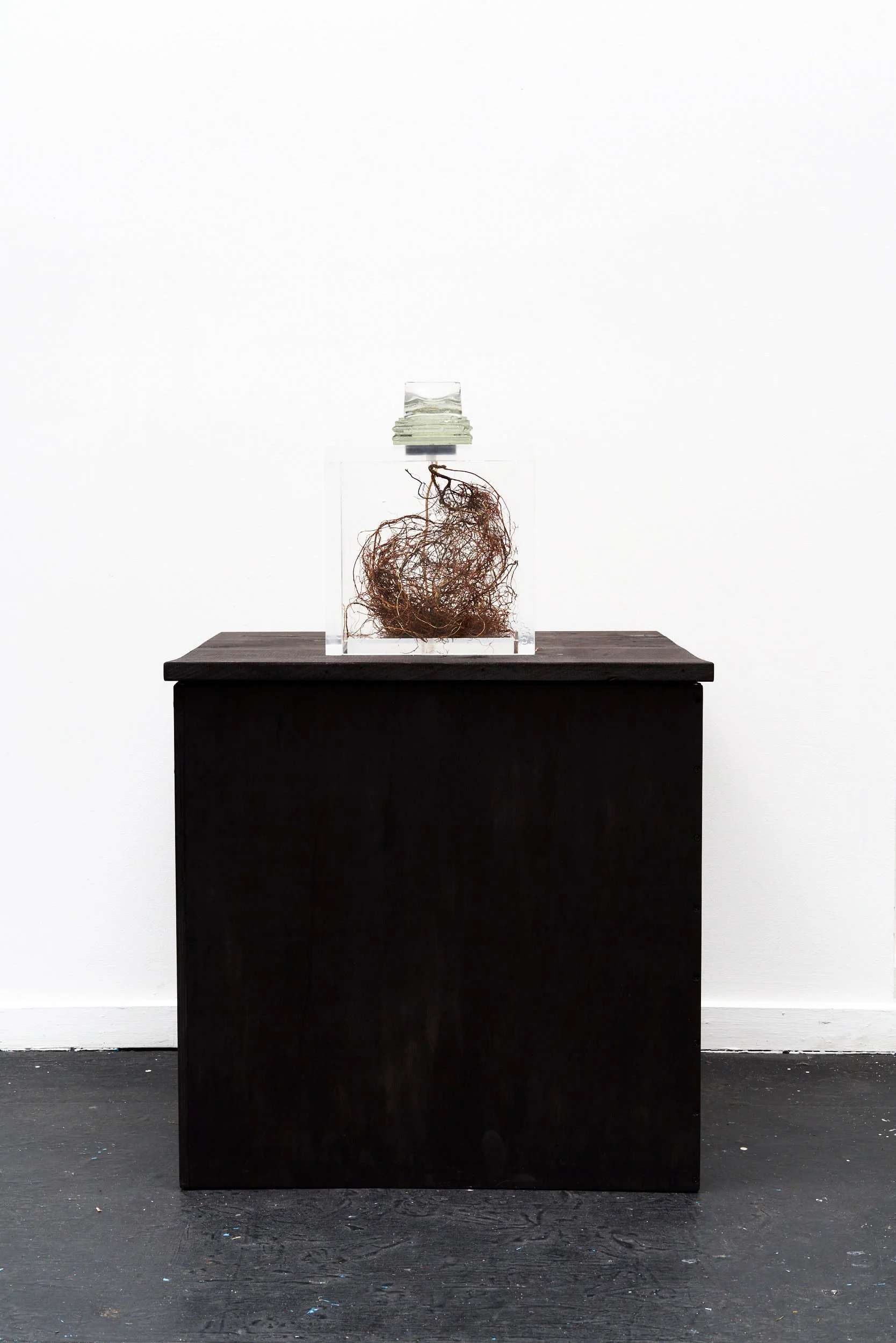 Goodbank_Biance Hoffrichter_Hearken_LoRes copy.jpg