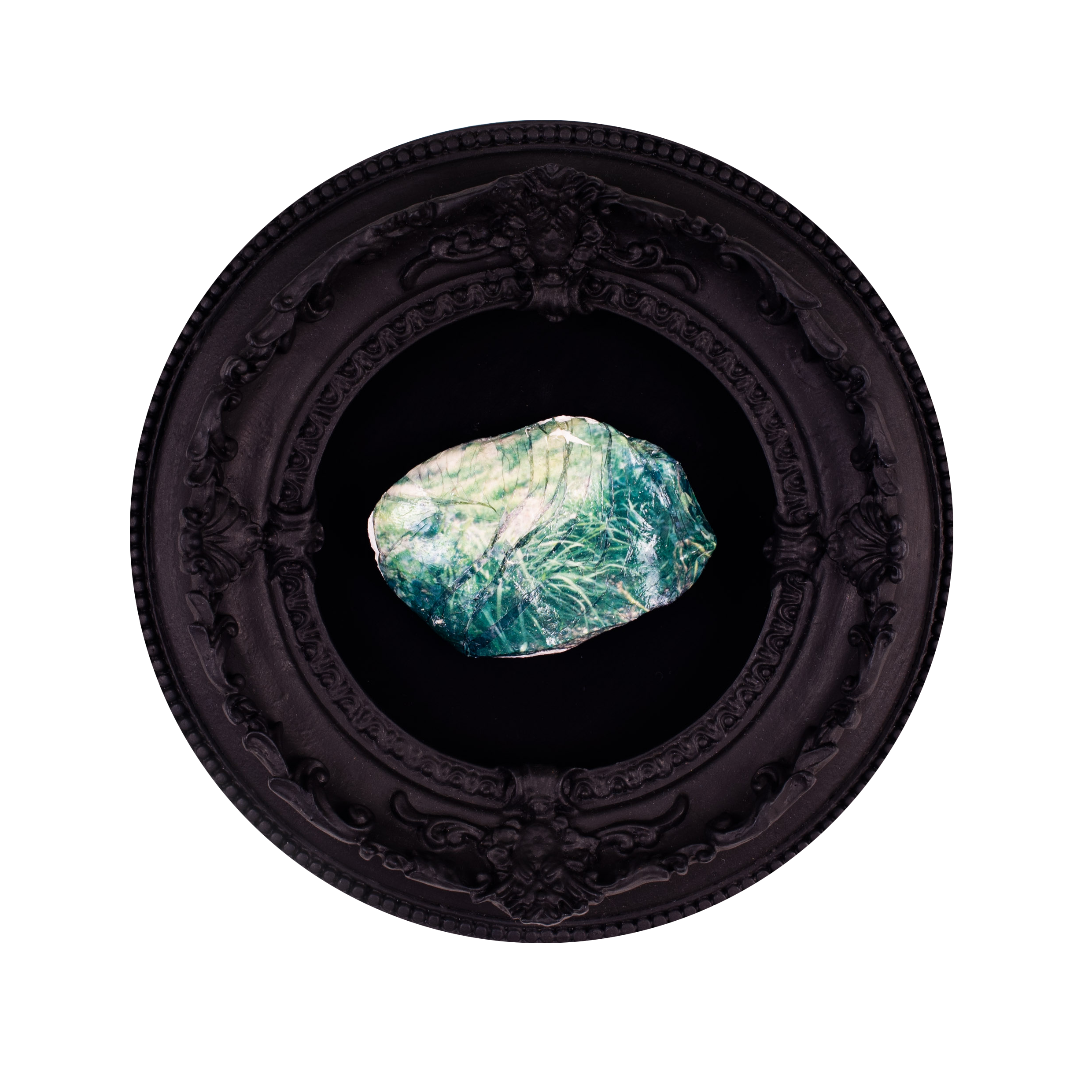 DSC_6458-Edit_SM_web transparent.png