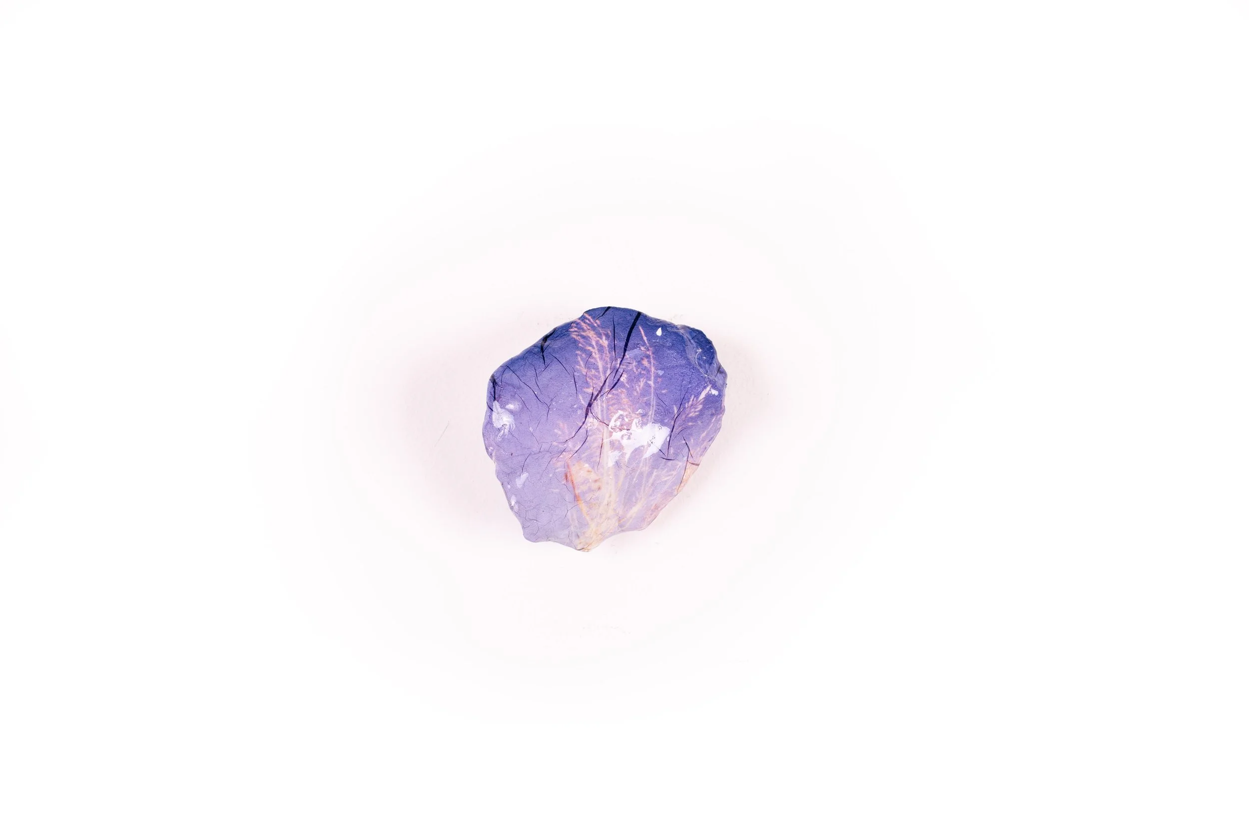 "lande (Old French - clearing)" VIII