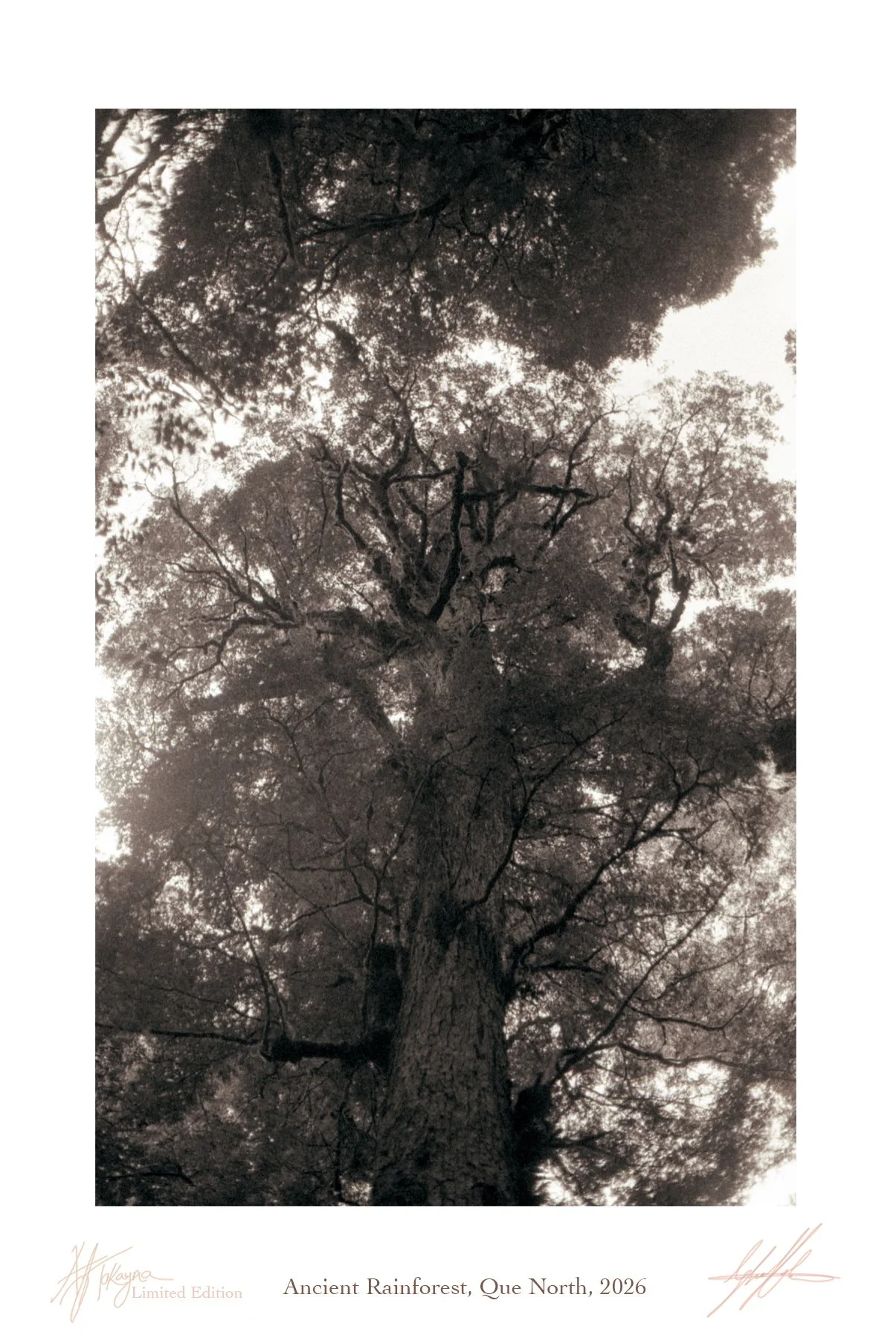 6. "extinctionem" series of Limited Edition 35 mm film prints (Copy)