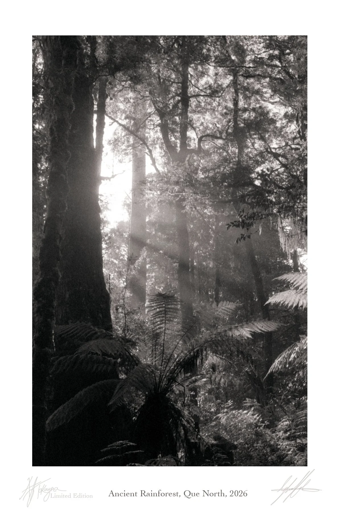 3. "extinctionem" series of Limited Edition 35 mm film prints