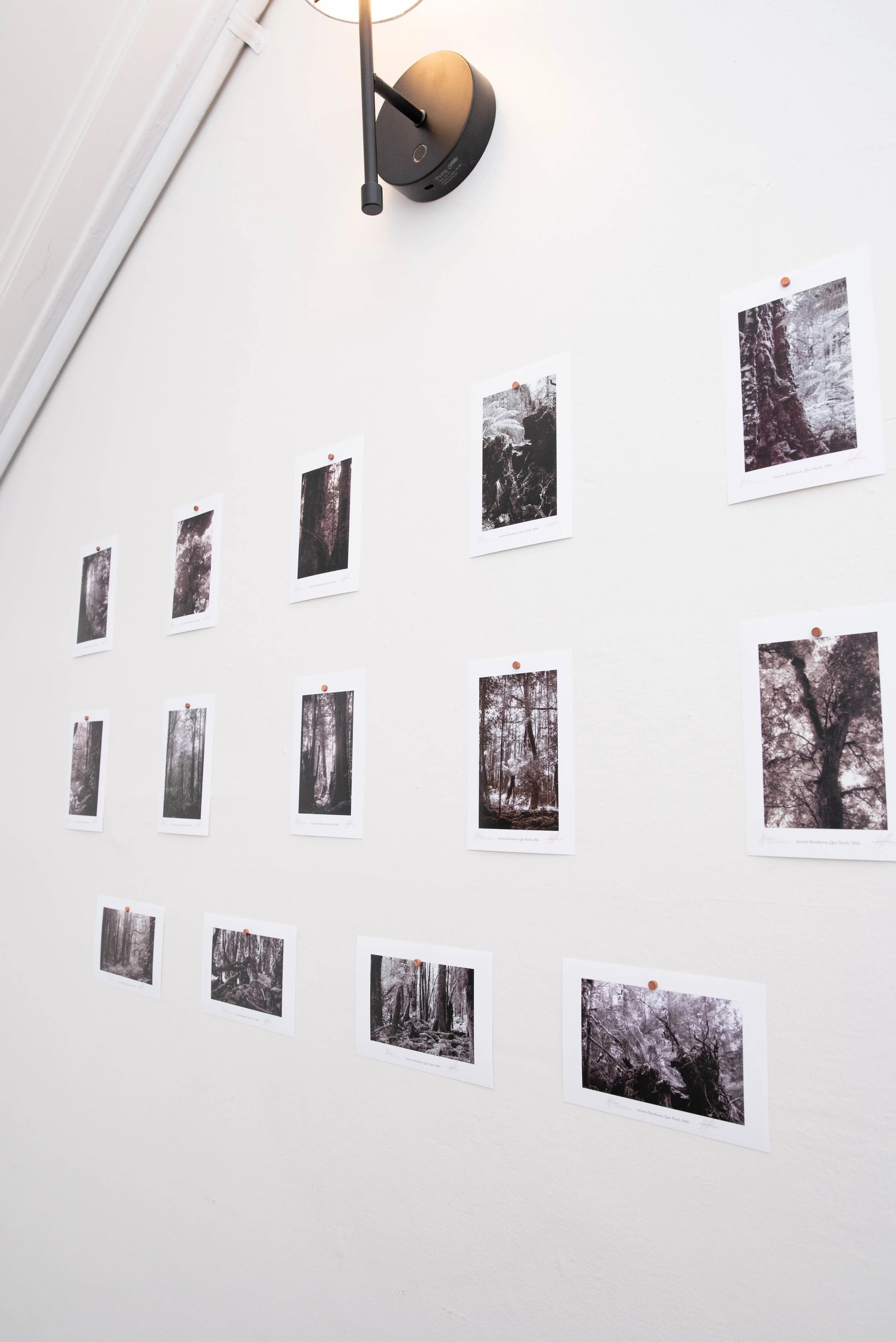 DSC_5686_SM_web.jpg