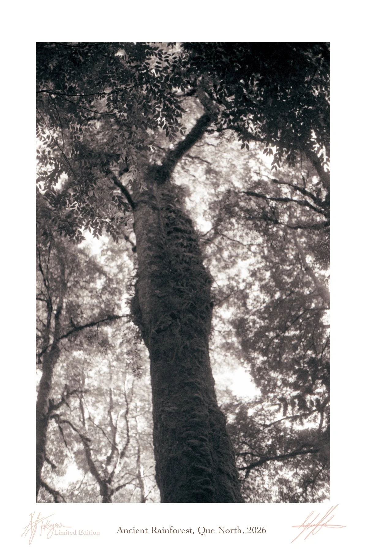 4. "extinctionem" series of Limited Edition 35 mm film prints