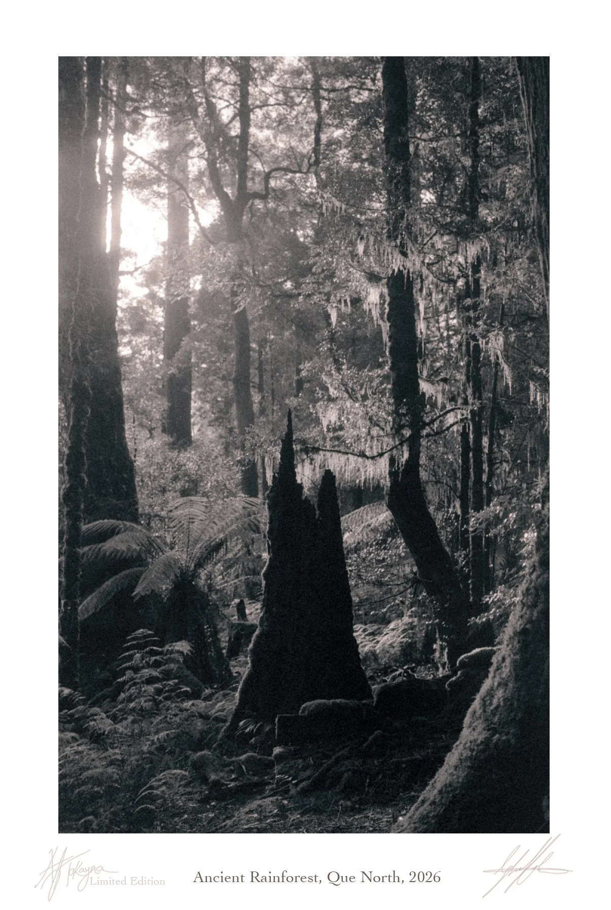 1. "extinctionem" series of Limited Edition 35 mm film prints